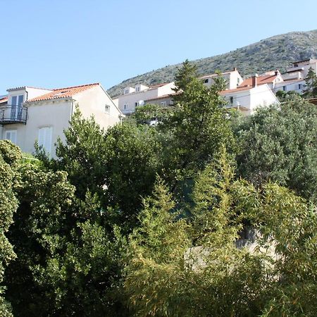 Appartement Studio Tamara à Dubrovnik Extérieur photo